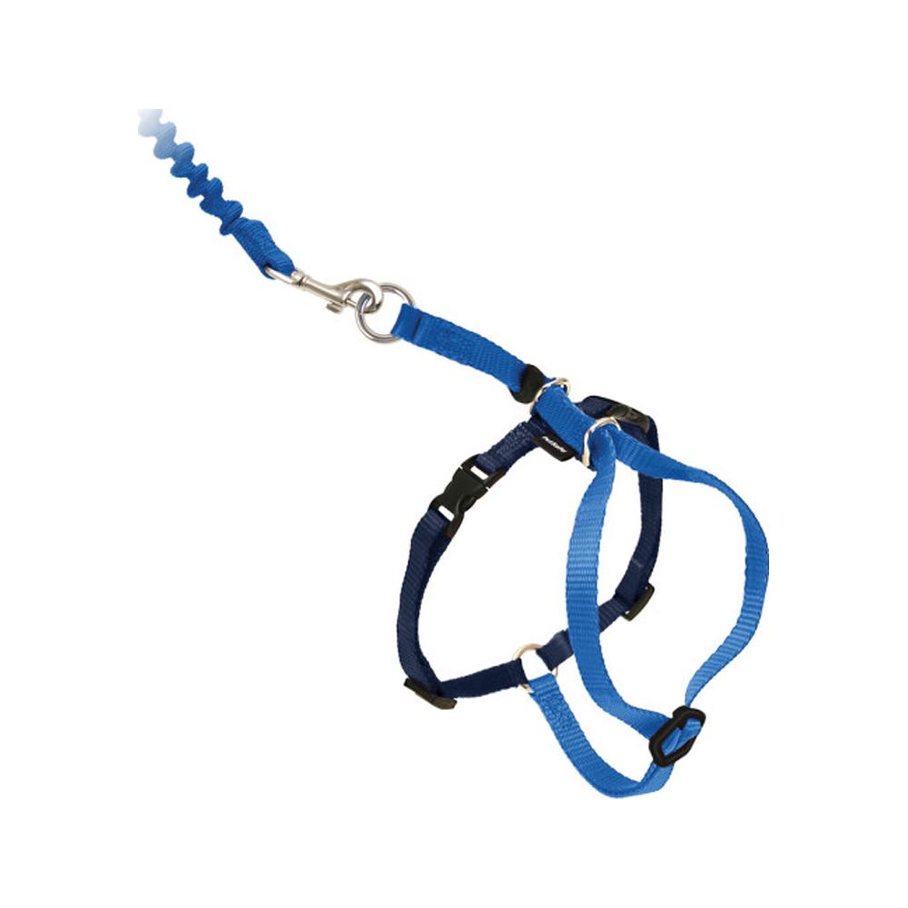 Come With Me Kitty Harness And Bungee Leash