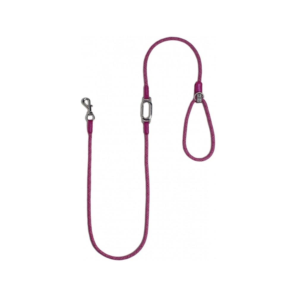 Leisure Parking & Tether Leash